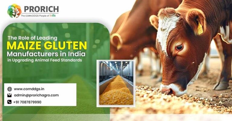 Maize gluten manufacturers in India