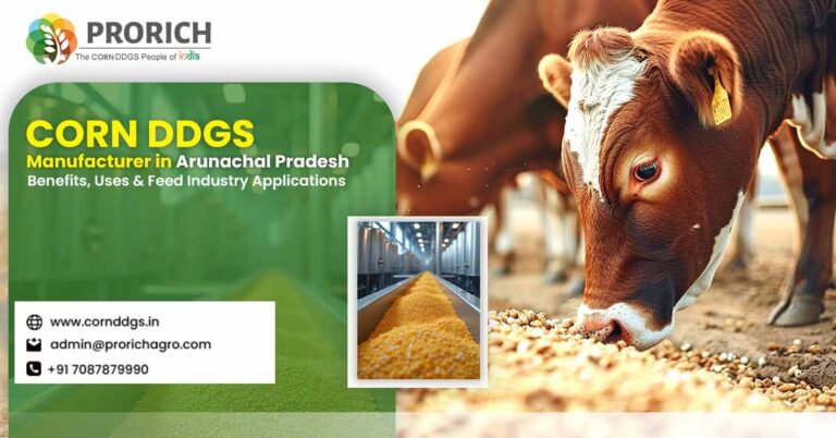 Corn DDGS Manufacturer in Arunachal Pradesh
