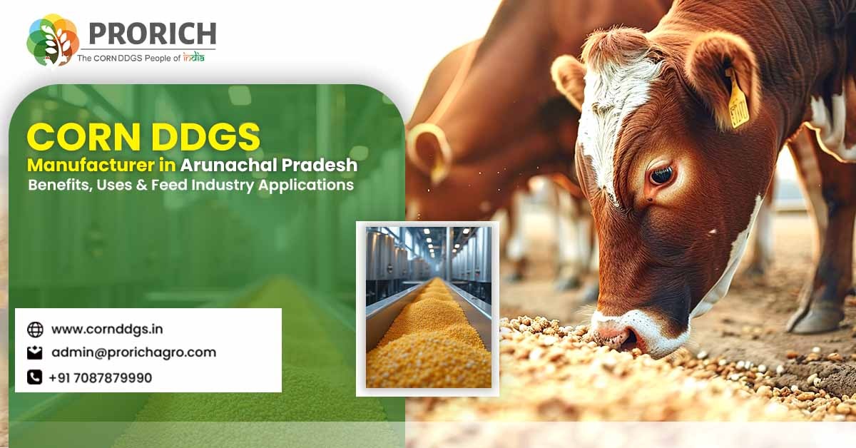 Corn DDGS Manufacturer in Arunachal Pradesh