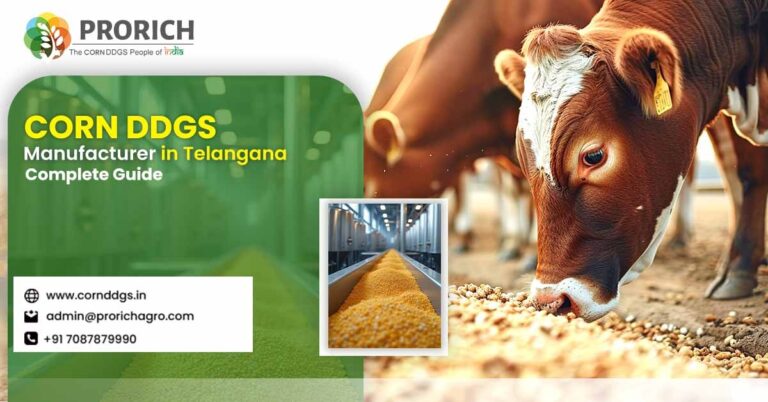 Corn DDGS Manufacturer in Telangana