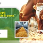 Corn DDGS Manufacturers in Bihar: What Makes a Supplier Reliable?