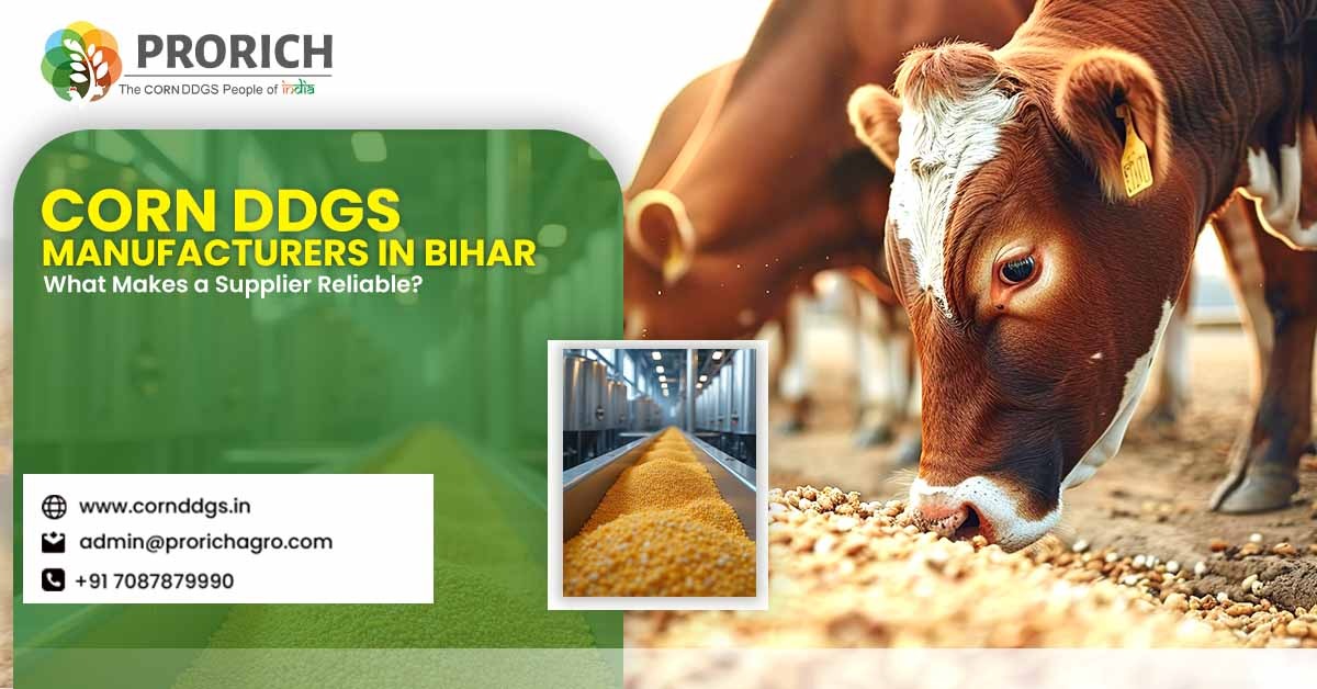 Corn DDGS Manufacturers in Bihar