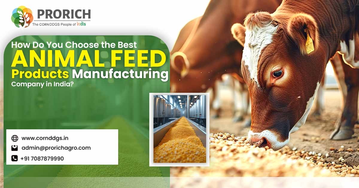 Animal feed manufacturing