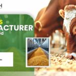 What Makes a Good Corn DDGS Manufacturer for Animal Feed?