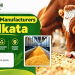 How to Select the Best Corn DDGS Manufacturers in Kolkata