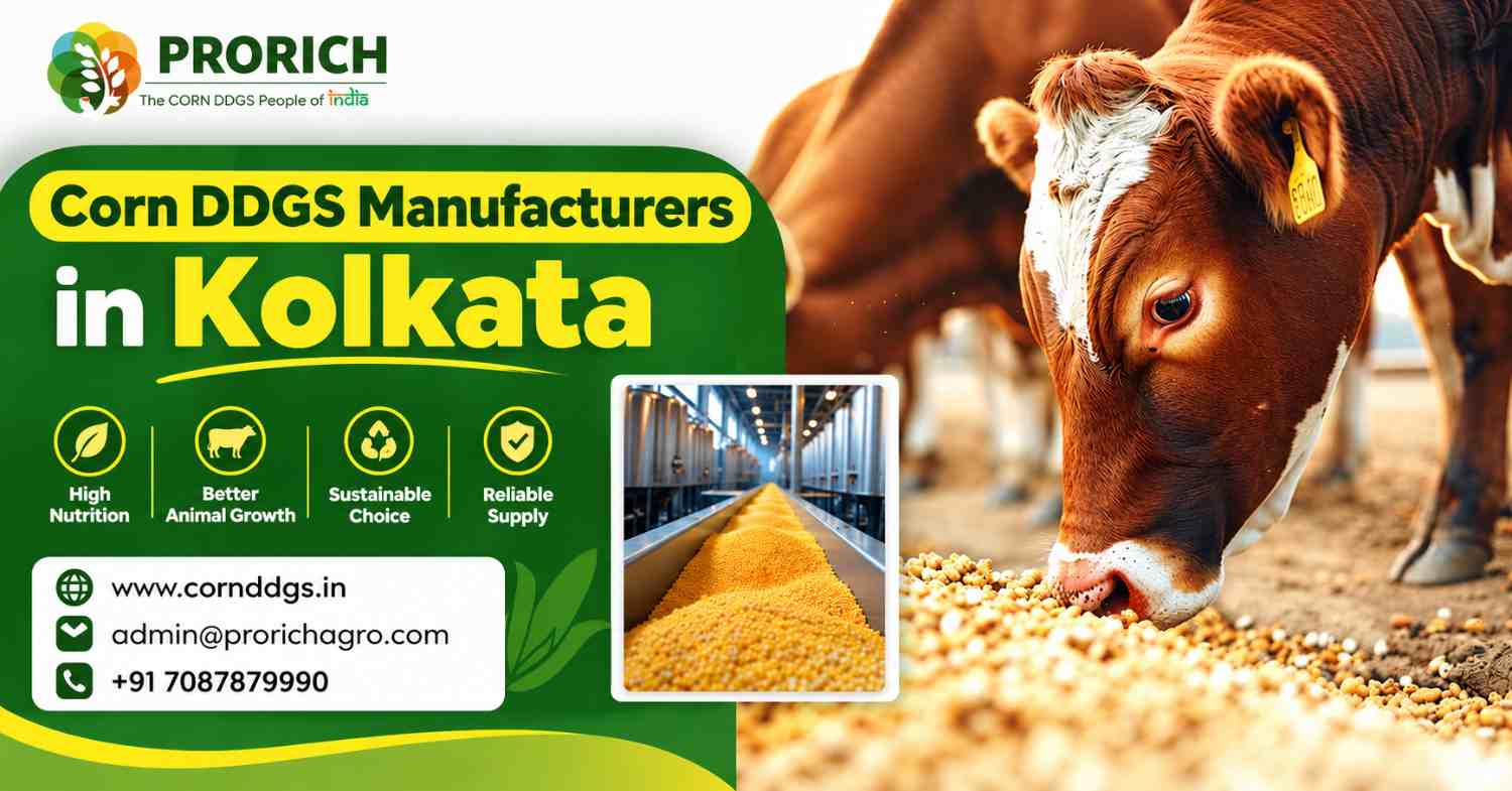 Corn DDGS Manufacturers in Kolkata