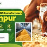 Who Are the Best Corn DDGS Manufacturers in Kanpur?